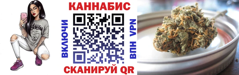 Канабис планчик Бакал